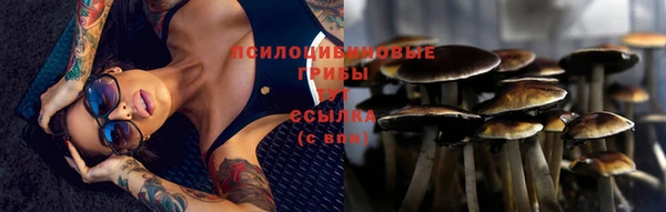 ECSTASY Алзамай