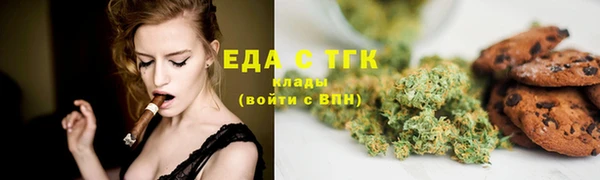 ECSTASY Алзамай
