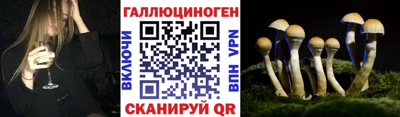 ссылка на мегу сайт  Покров  Галлюциногенные грибы MAGIC MUSHROOMS 